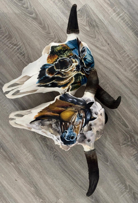 bison skull, painted moose