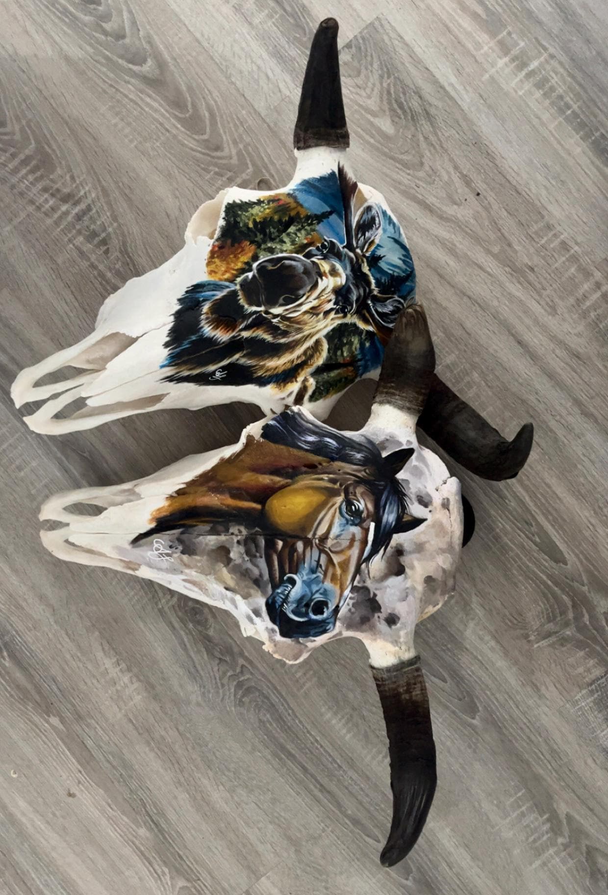 Bison skull, painted Horse
