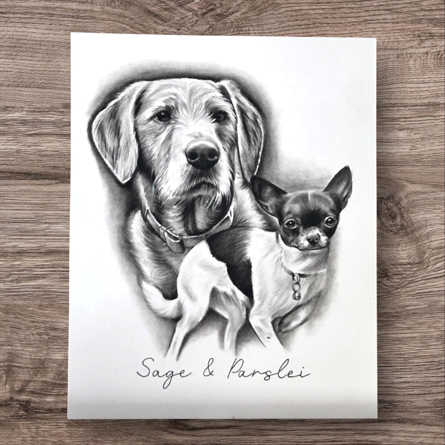 "* Custom hand drawn  pet portrait *"