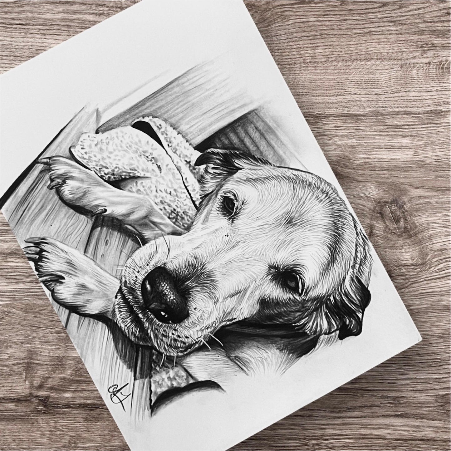 "* Custom hand drawn  pet portrait *"