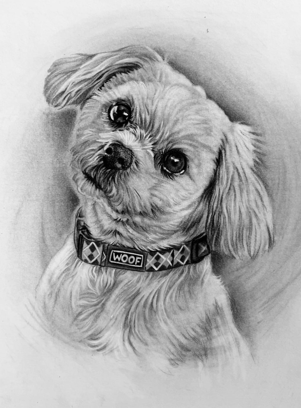 "* Custom hand drawn  pet portrait *"