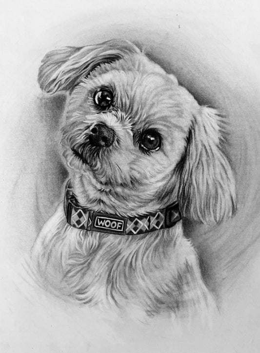"* Custom hand drawn  pet portrait *"