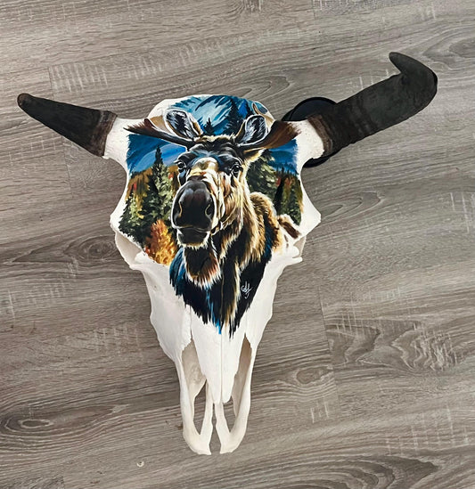 bison skull, painted moose