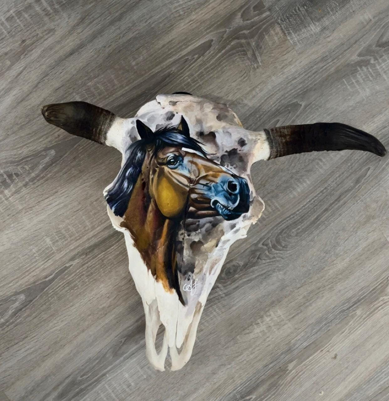Bison skull, painted Horse